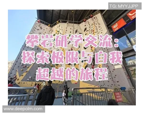 深入探讨上海攀岩队成员个人能力表现的数据分析与评估方法