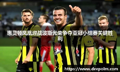 惠灵顿凤凰迎战波斯光荣争夺亚冠小组赛关键胜利